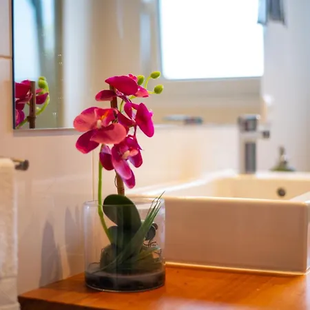 Encantador No Centro De *