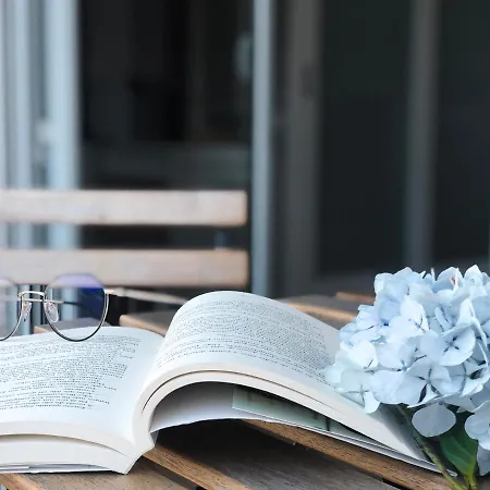 Encantador No Centro De Ponta Delgada