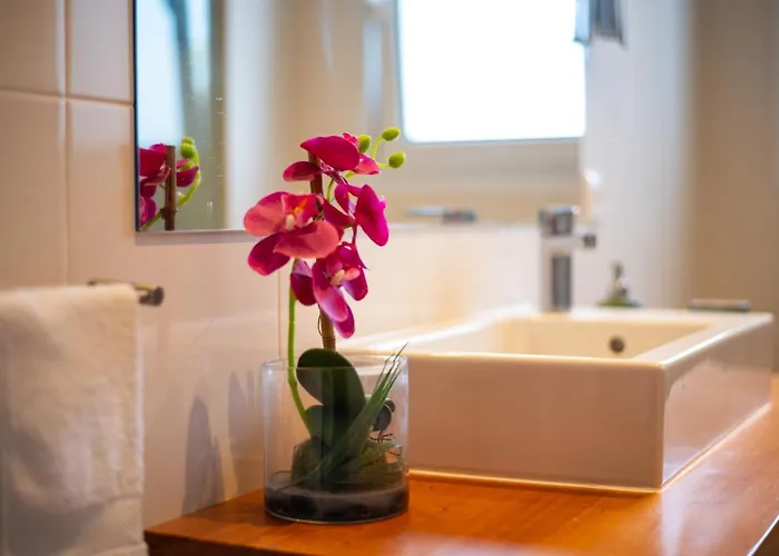 Encantador No Centro De *